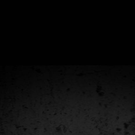(Category: ) located in . Submitted by mmff15 (Listing ID 1380809891, Image 1). Description: .