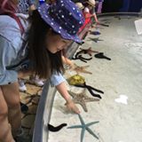 由 cooldodola (刊登 ID 1378734968，圖片 1) 提交，位於 的 (類別：)，說明：。
