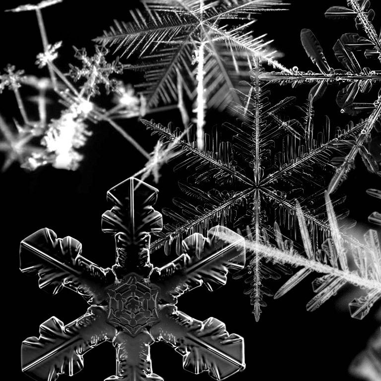 (Category: ) located in . Submitted by icy.snow (Listing ID 1381095951, Image 1). Description: .