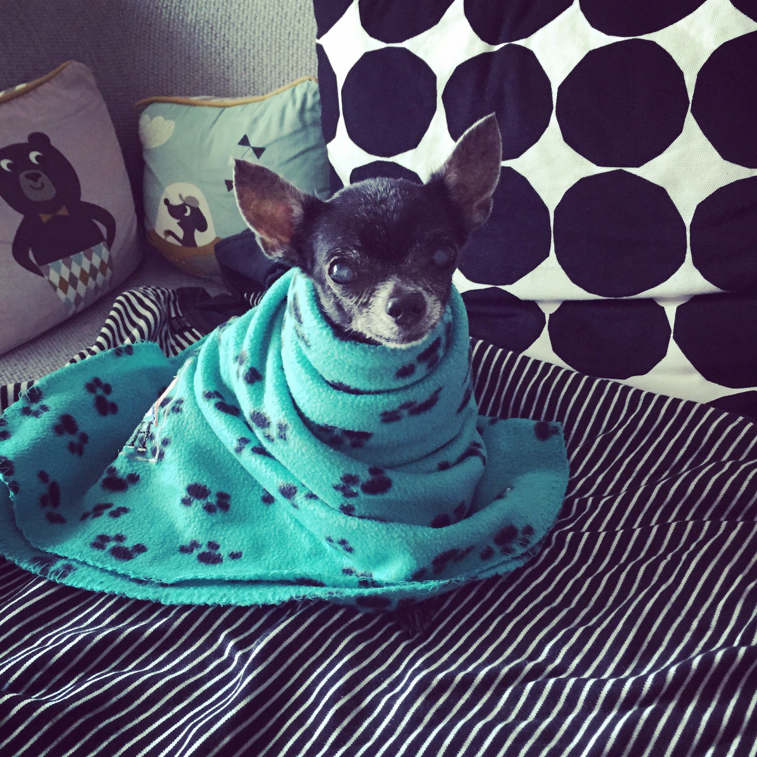 (Category: ) located in . Submitted by ilovemambo (Listing ID 1273269996, Image 1). Description: .