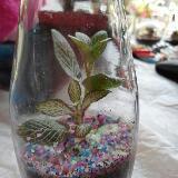 (Category: ) located in . Submitted by kidslove (Listing ID 1342257729, Image 1). Description: .