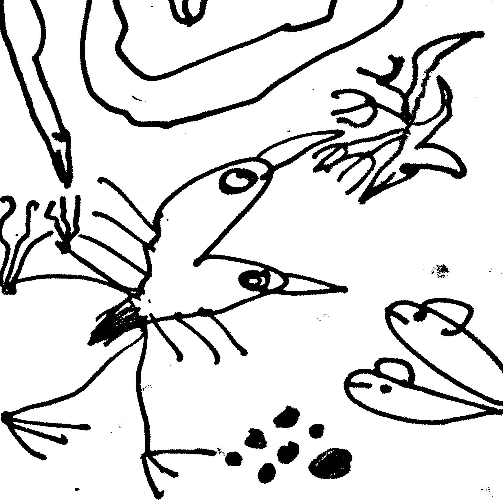 (Category: ) located in . Submitted by nijoos (Listing ID 1376781763, Image 1). Description: .
