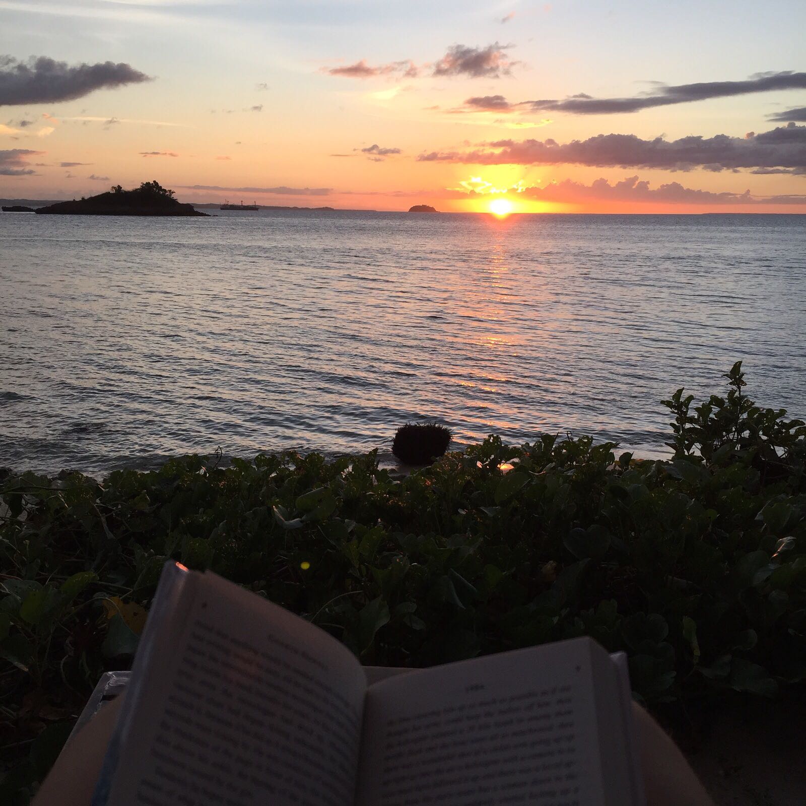 (Category: ) located in . Submitted by irenelph (Listing ID 1376728905, Image 1). Description: .
