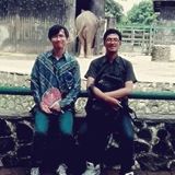 由 jokowidodo (刊登 ID 1362126612，圖片 1) 提交，位於 的 (類別：)，說明：。