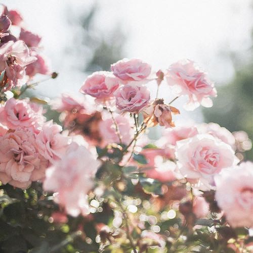 (Category: ) located in . Submitted by sweeetcakes (Listing ID 1438514226, Image 1). Description: .