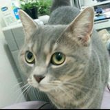 (分類:)位於 。 由 hauwah18 提交(商品編號 1444942535,圖片 1)。簡介: 。