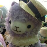 (Category: ) located in . Submitted by arupaka (Listing ID 1378174673, Image 1). Description: .