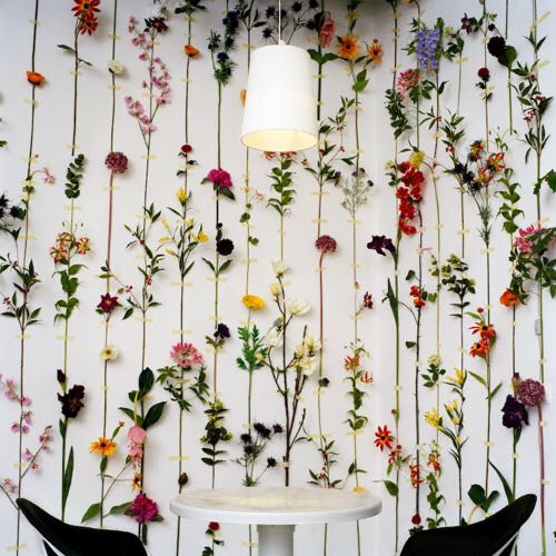 (Category: ) located in . Submitted by happypetal (Listing ID 1384640515, Image 1). Description: .