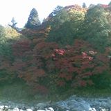 (Category: ) located in . Submitted by mojojo0812 (Listing ID 1376775209, Image 1). Description: .