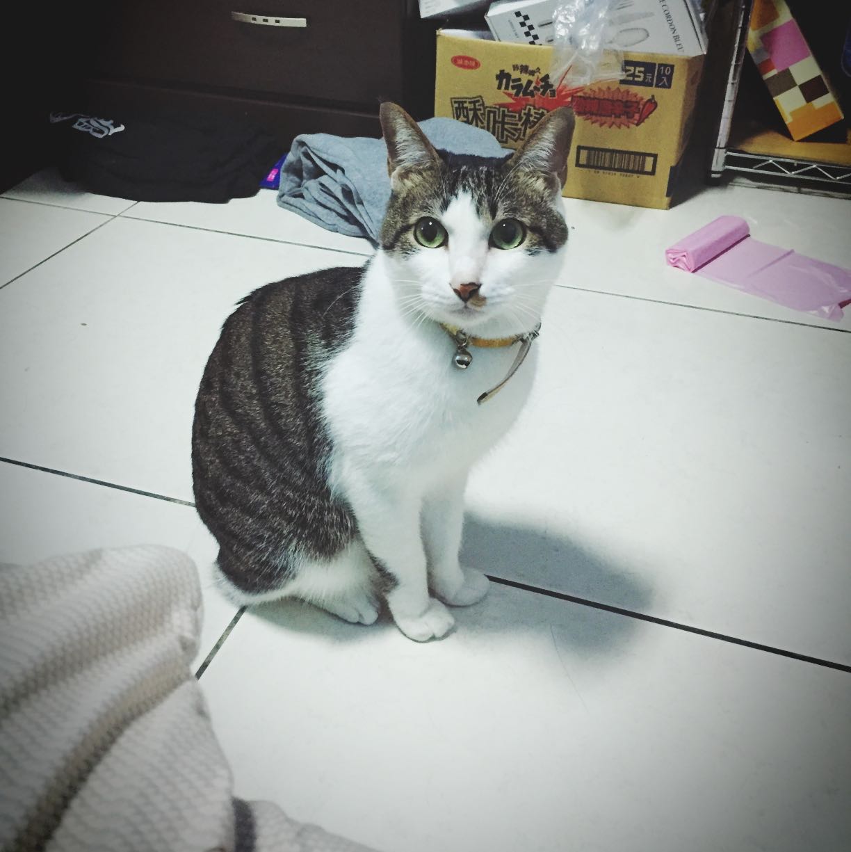 Avatar