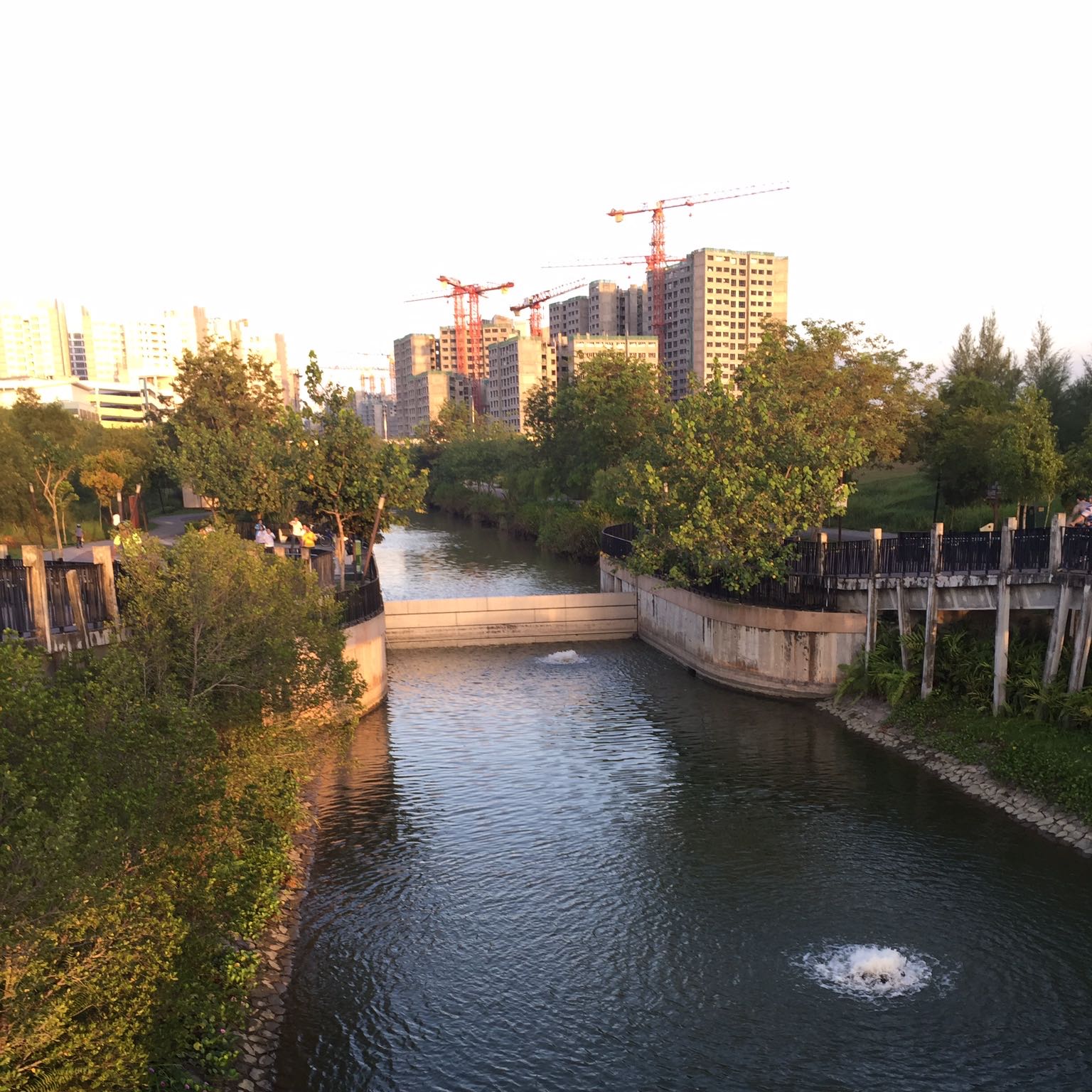 (Category: ) located in . Submitted by ron6767 (Listing ID 1323021752, Image 1). Description: .