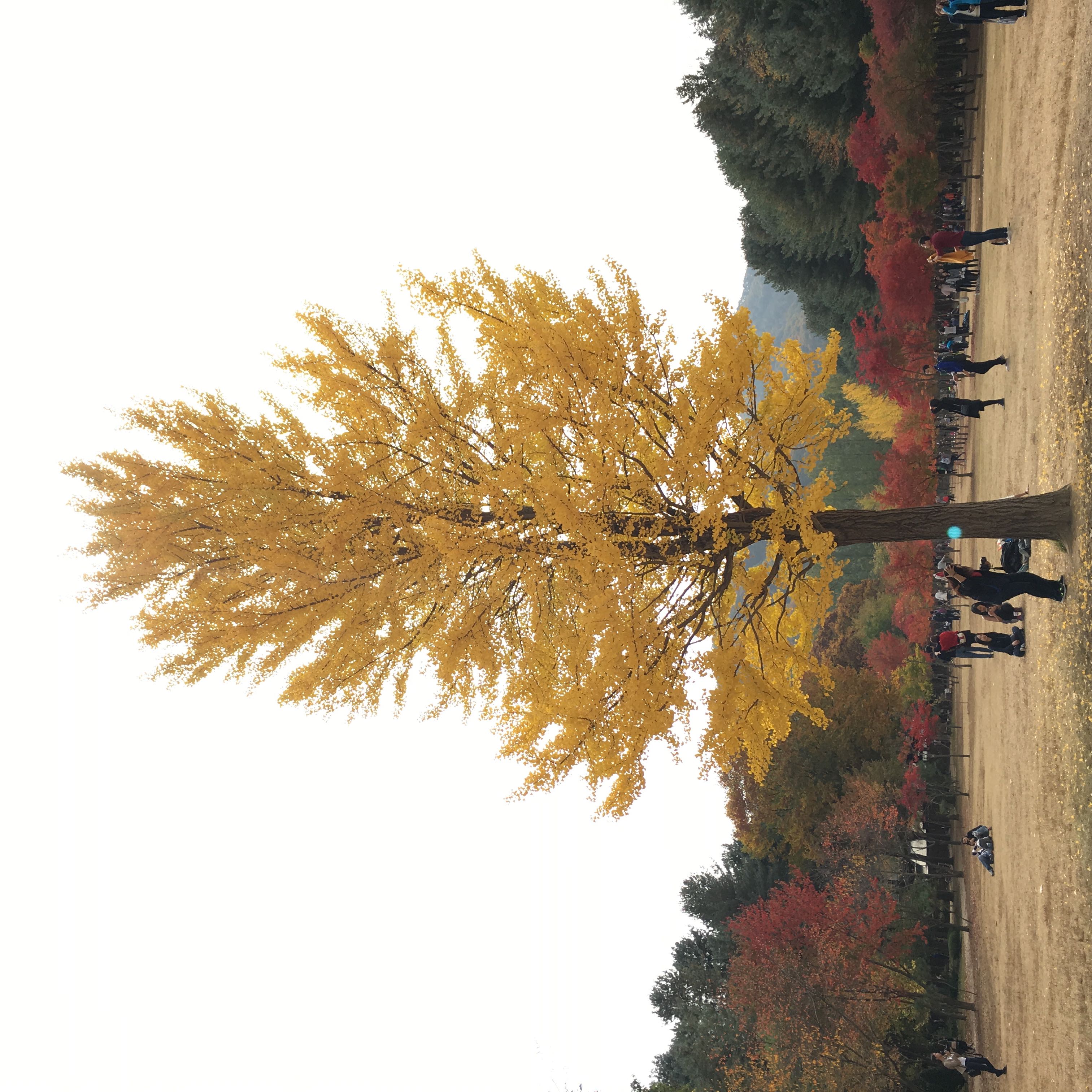 (Category: ) located in . Submitted by mybayyy (Listing ID 1209222325, Image 1). Description: .