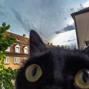 (Category: ) located in . Submitted by ccharlesy (Listing ID 1377351355, Image 1). Description: .