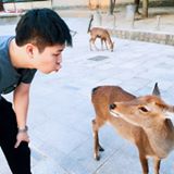 由 kengto (刊登 ID 1223062746，圖片 1) 提交，位於 的 (類別：)，說明：。