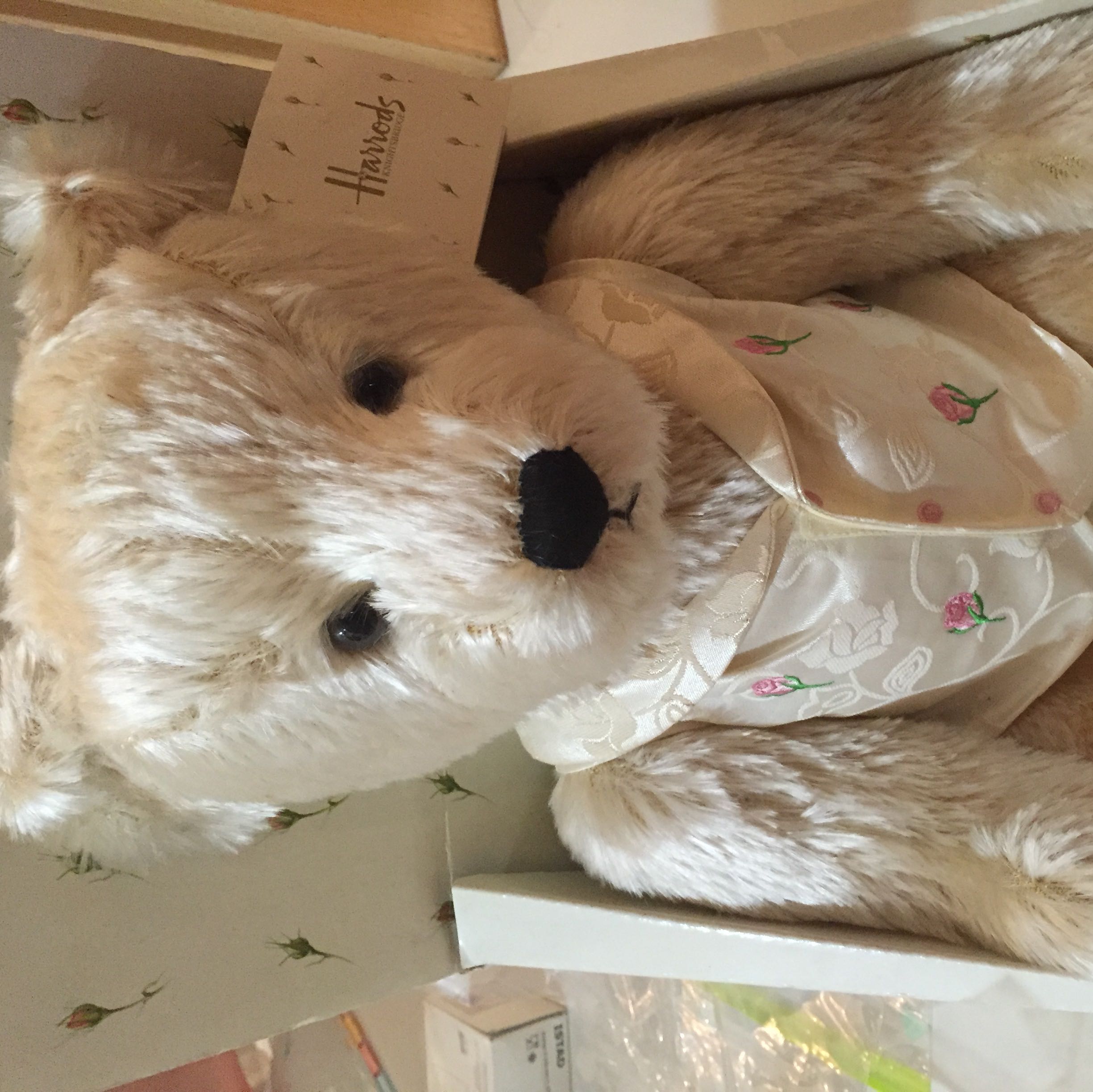(Category: ) located in . Submitted by polobear (Listing ID 1321161661, Image 1). Description: .