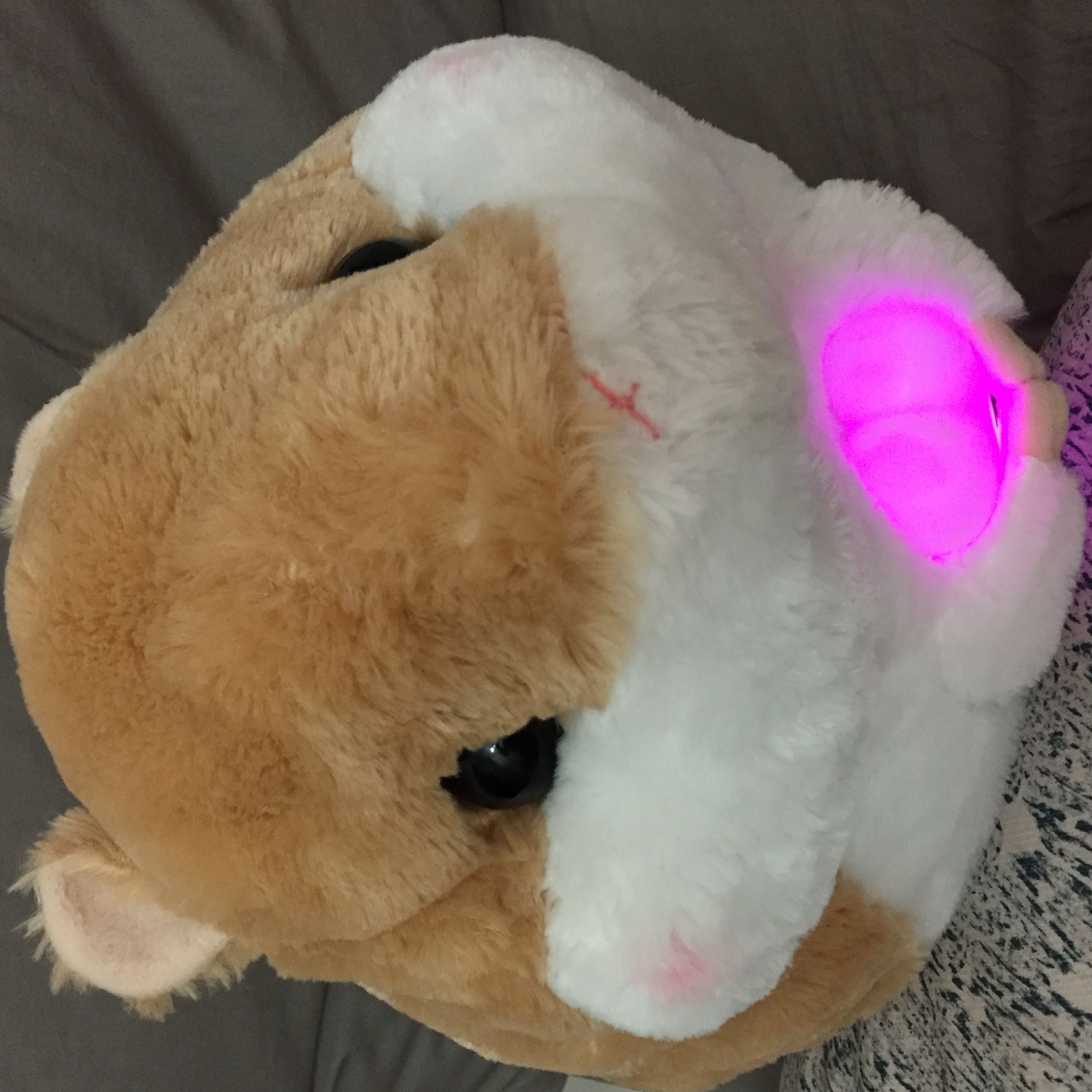 (Category: ) located in . Submitted by zephyr_3 (Listing ID 1363282517, Image 1). Description: .