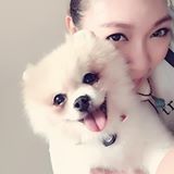 （分類：）位於 。 由 bibipig 提交（商品編號 1362106200，圖片 1）。簡介： 。