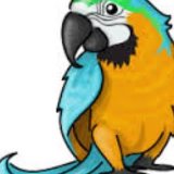 (Category: ) located in . Submitted by parrot001 (Listing ID 1379588215, Image 1). Description: .