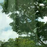 (Category: ) located in . Submitted by jynn70 (Listing ID 1443336492, Image 1). Description: .