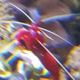 (Category: ) located in . Submitted by justdw (Listing ID 1378672473, Image 1). Description: .