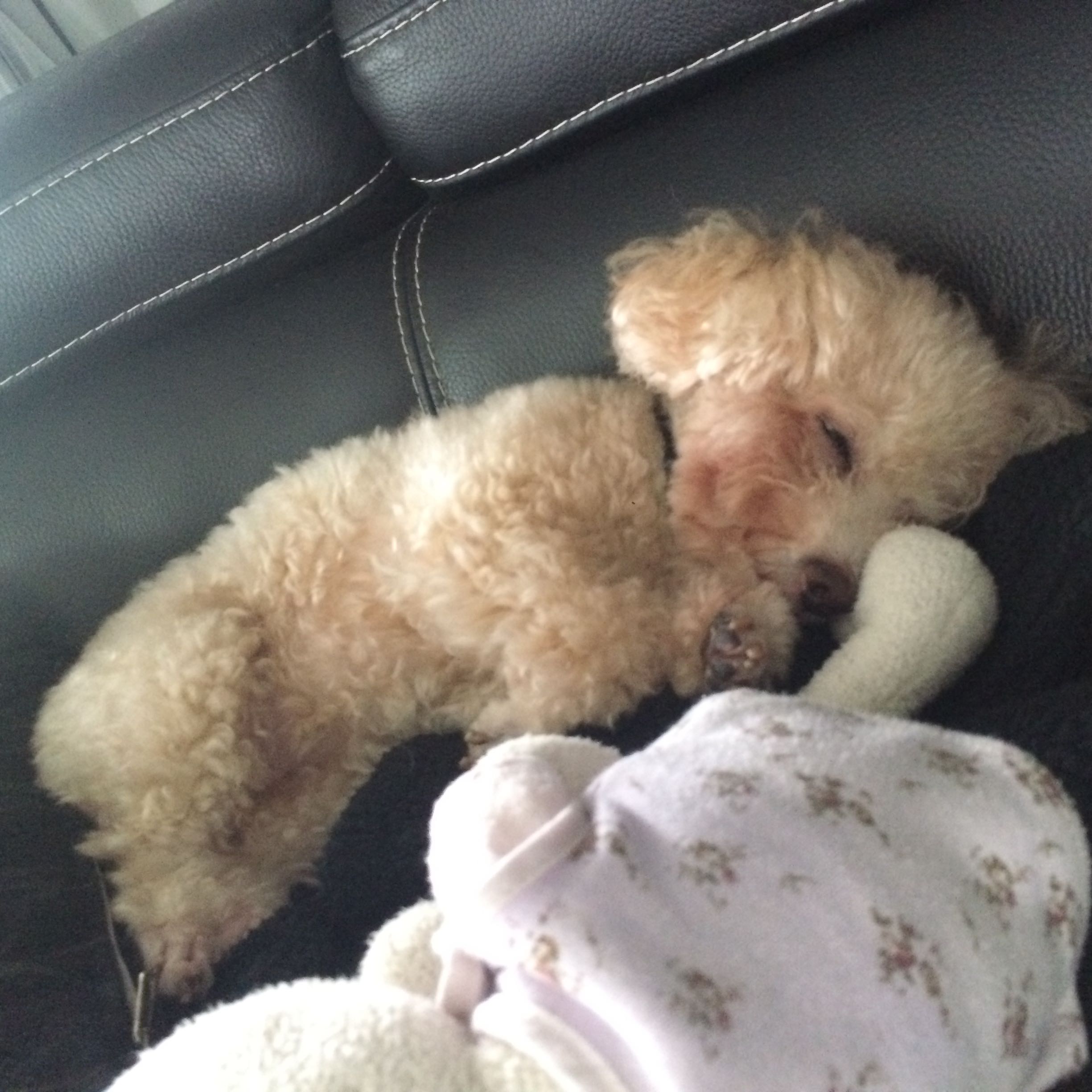 (Category: ) located in . Submitted by hongdou83 (Listing ID 1106446880, Image 1). Description: .