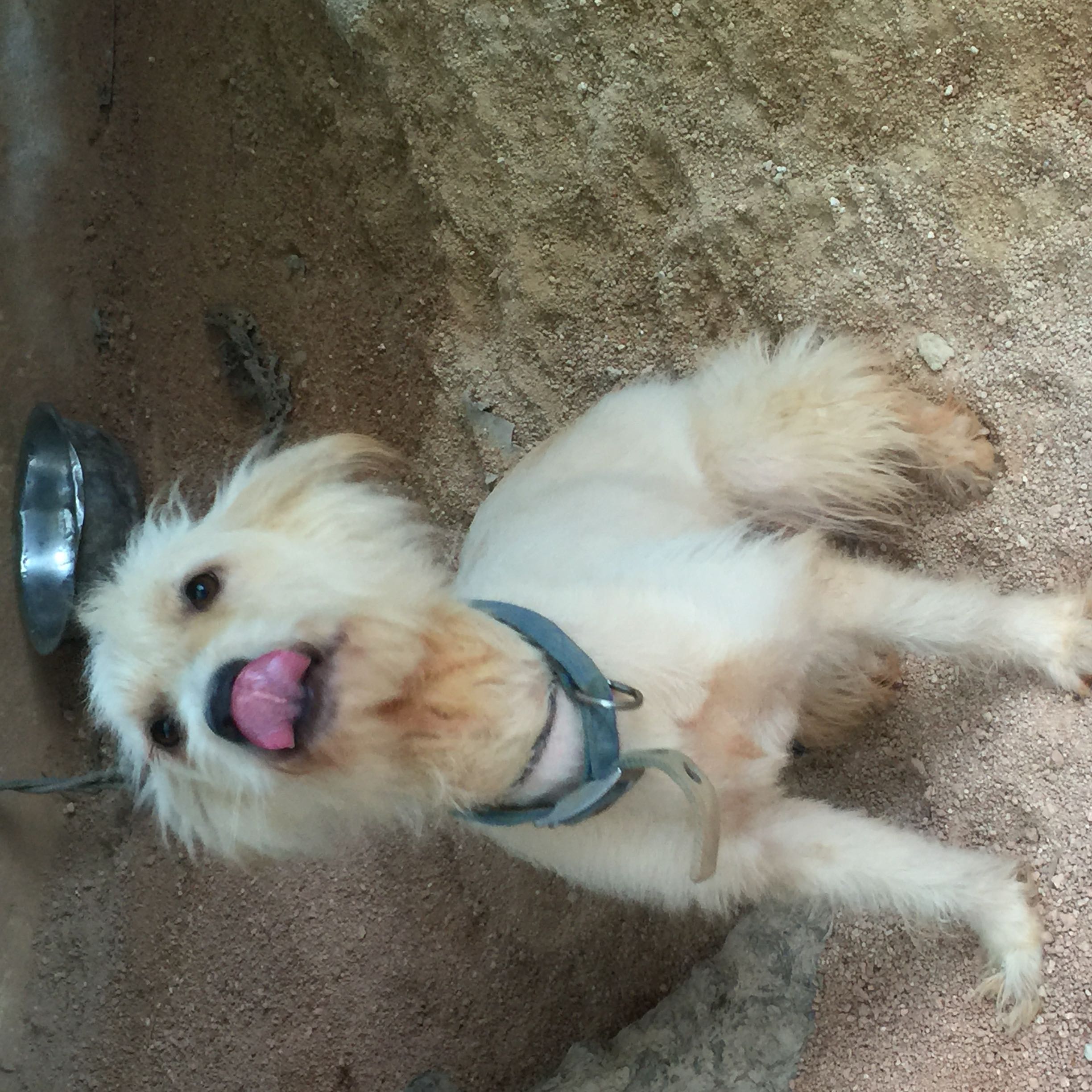 (Category: ) located in . Submitted by minniemousee (Listing ID 1355585027, Image 1). Description: .