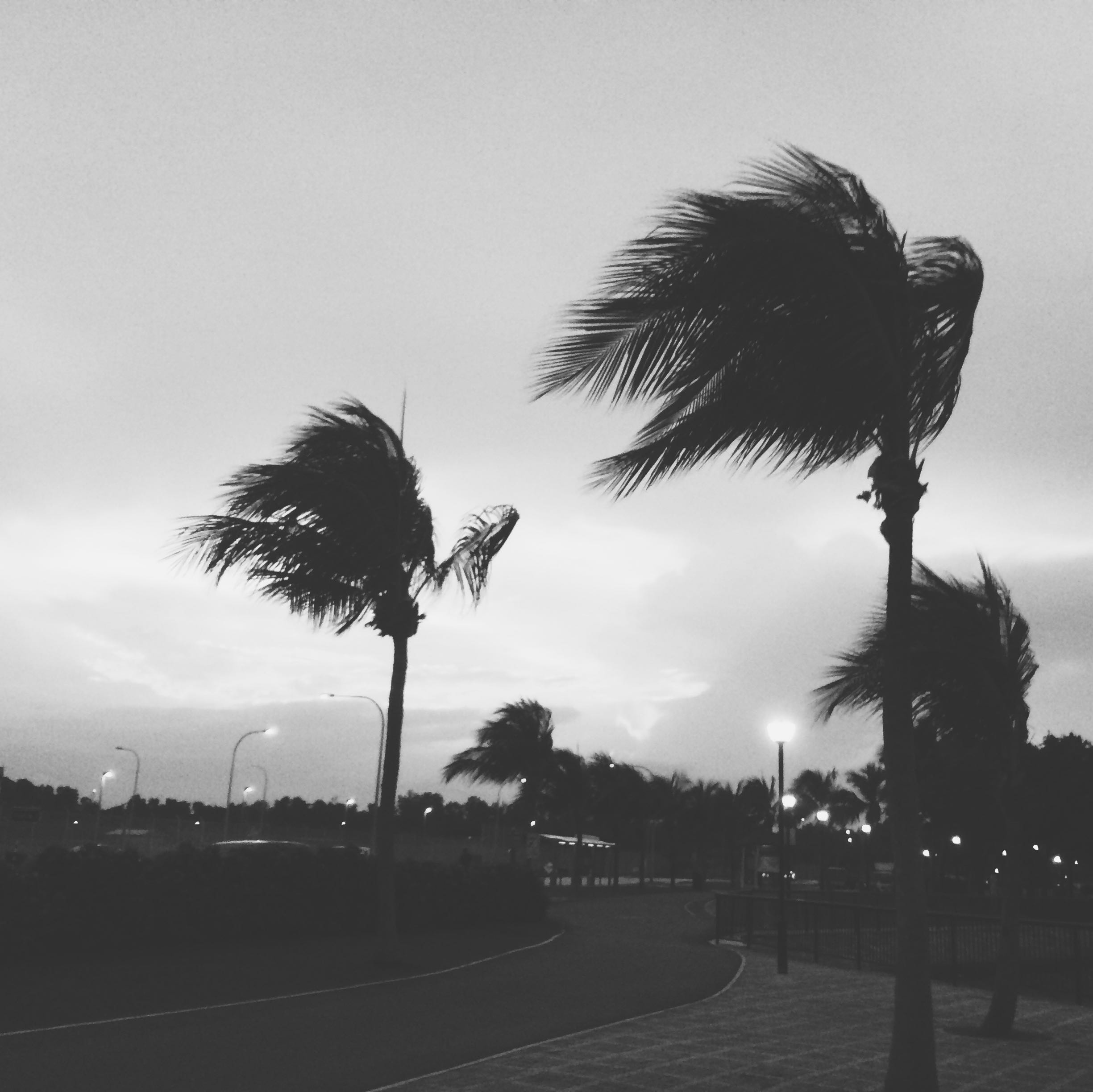 (Category: ) located in . Submitted by nlsj5 (Listing ID 1307910825, Image 1). Description: .