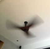 (Category: ) located in . Submitted by greep (Listing ID 1378432325, Image 1). Description: .