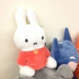 （分類：）位於 。 由 dorothyb818 提交（商品編號 1378149273，圖片 1）。簡介： 。