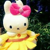 （分類：）位於 。 由 miffysweetland 提交（商品編號 1253248208，圖片 1）。簡介： 。