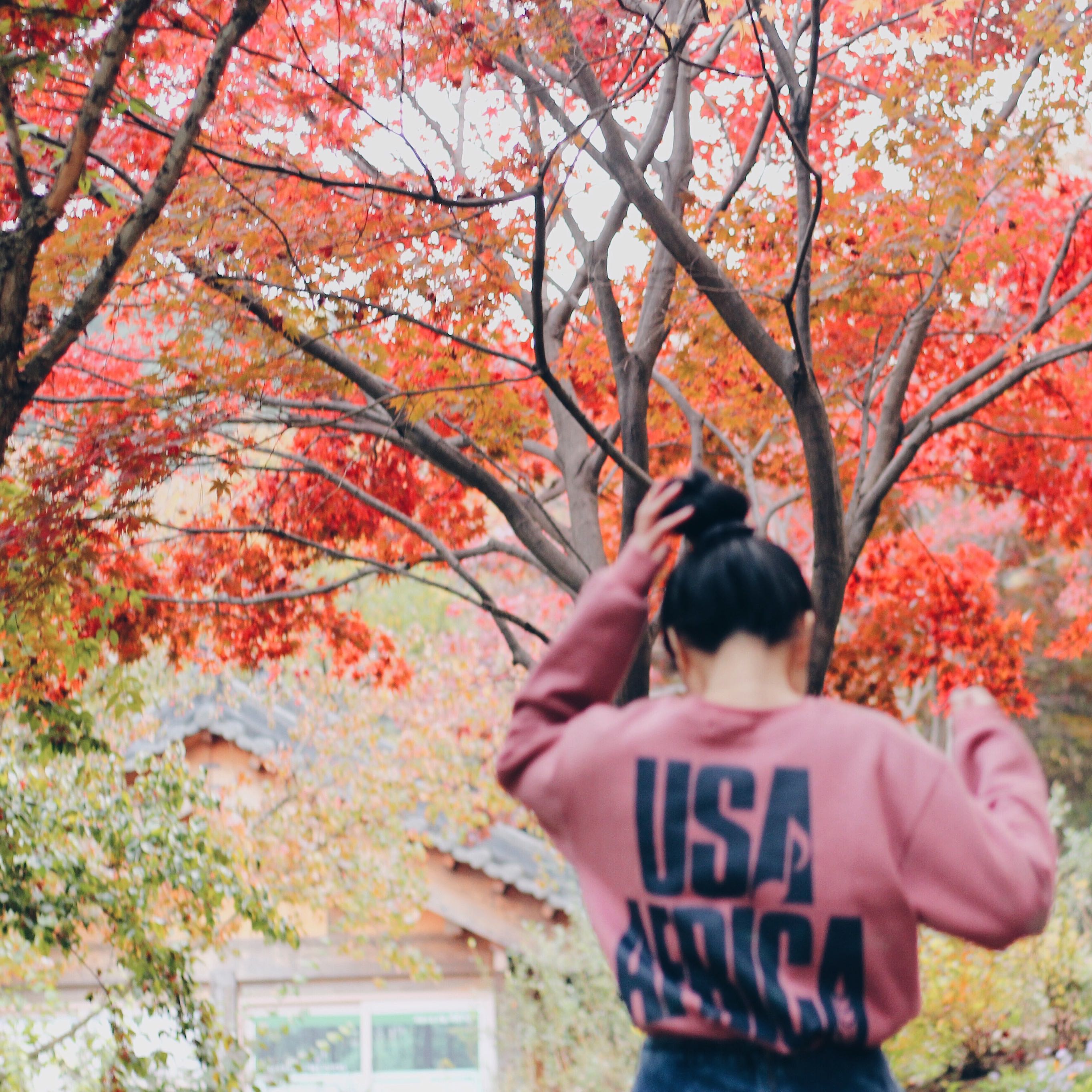 (Category: ) located in . Submitted by daisiesnmilk (Listing ID 1369330540, Image 1). Description: .