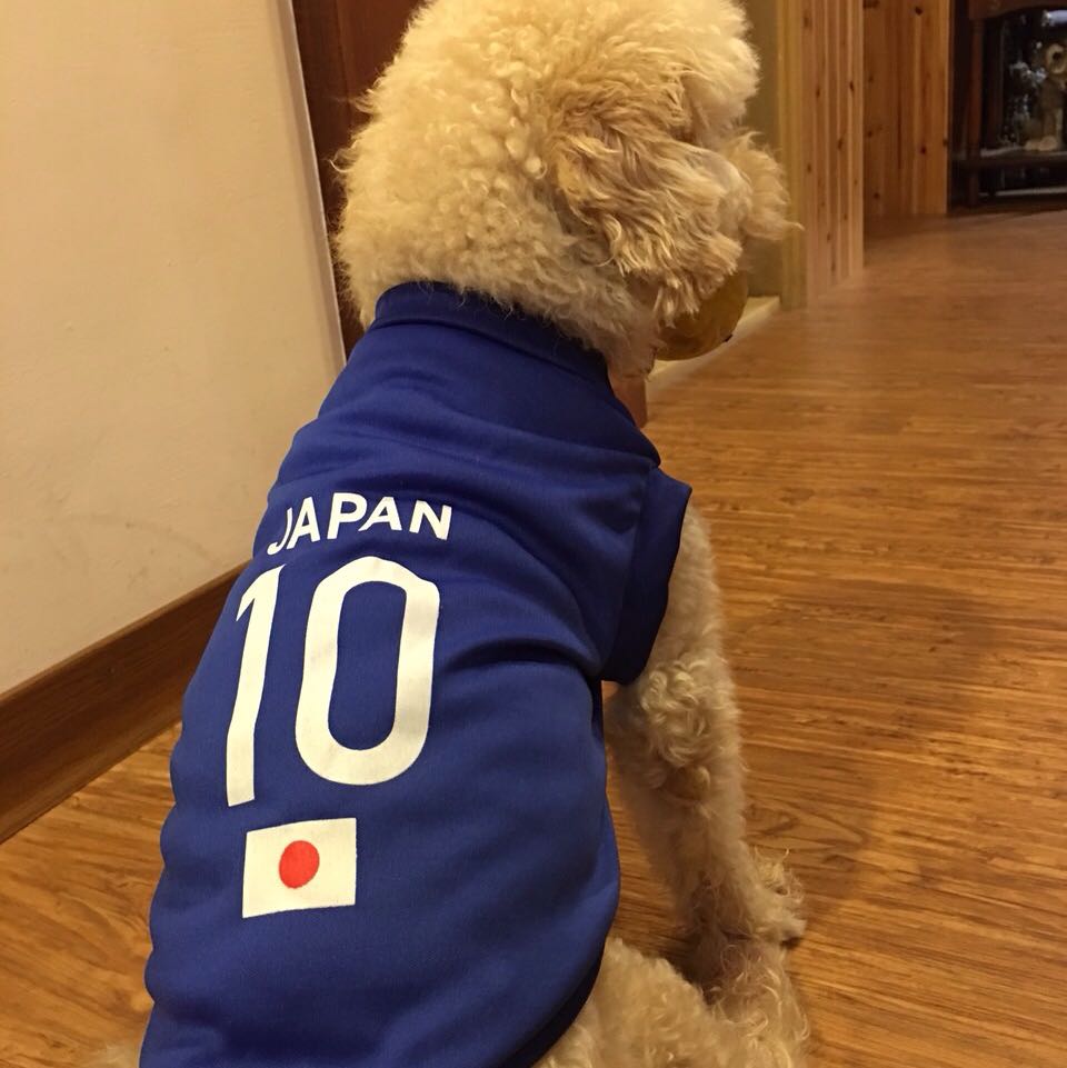 頭像