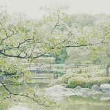 (分類:)位於 。 由 jubujubu 提交(商品編號 1467208553,圖片 1)。簡介: 。