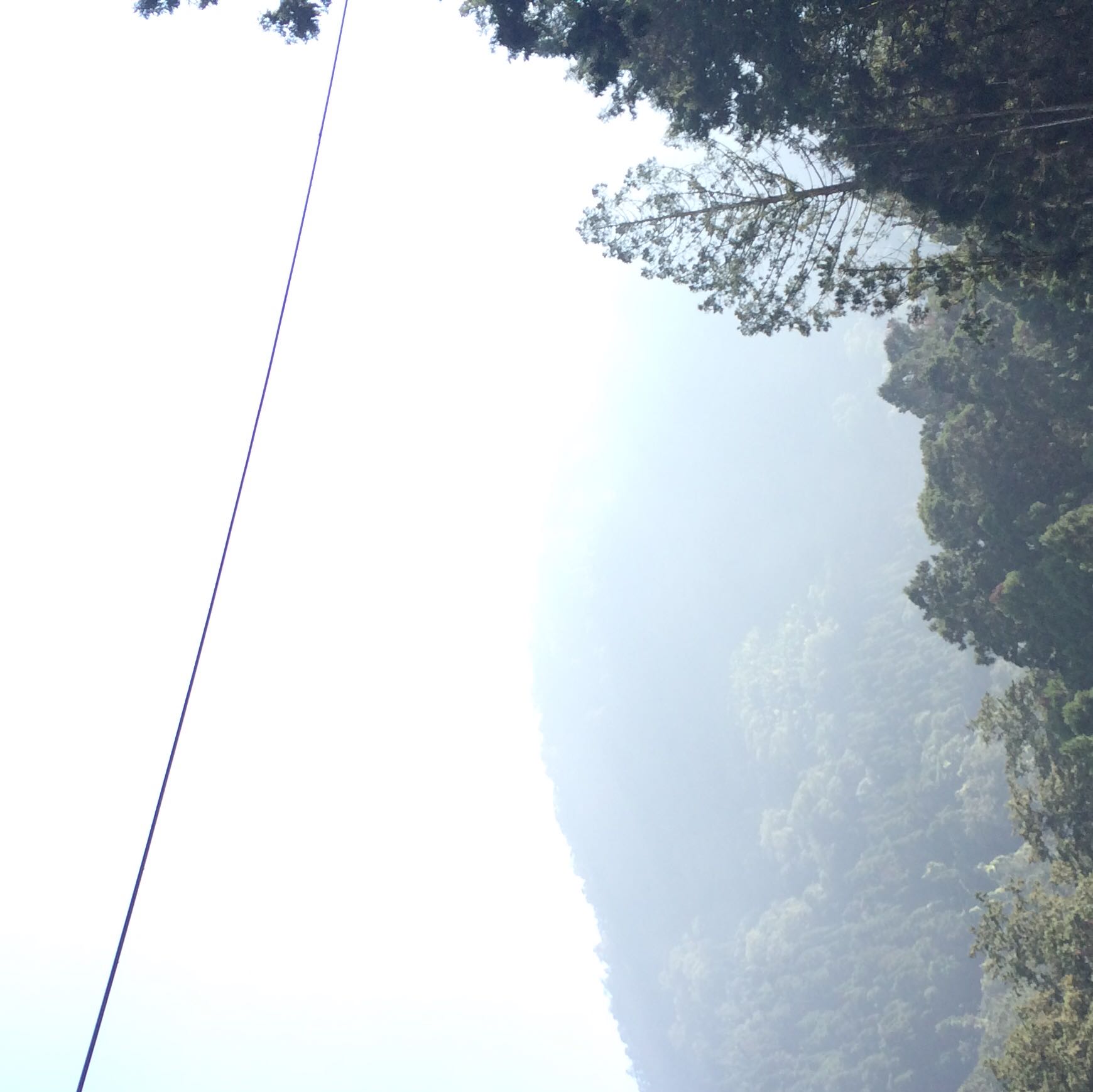 (Category: ) located in . Submitted by r4ien (Listing ID 1322242618, Image 1). Description: .