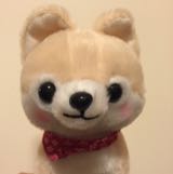 （分類：）位於 。 由 vertigo_kidult 提交（商品編號 1383064349，圖片 1）。簡介： 。