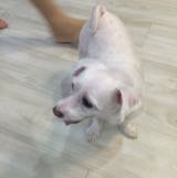 (Category: ) located in . Submitted by amyge (Listing ID 1377816571, Image 1). Description: .