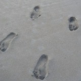 (Category: ) located in . Submitted by daldllkyll (Listing ID 1269917547, Image 1). Description: .