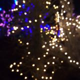 (Category: ) located in . Submitted by fiowgc (Listing ID 1378480579, Image 1). Description: .