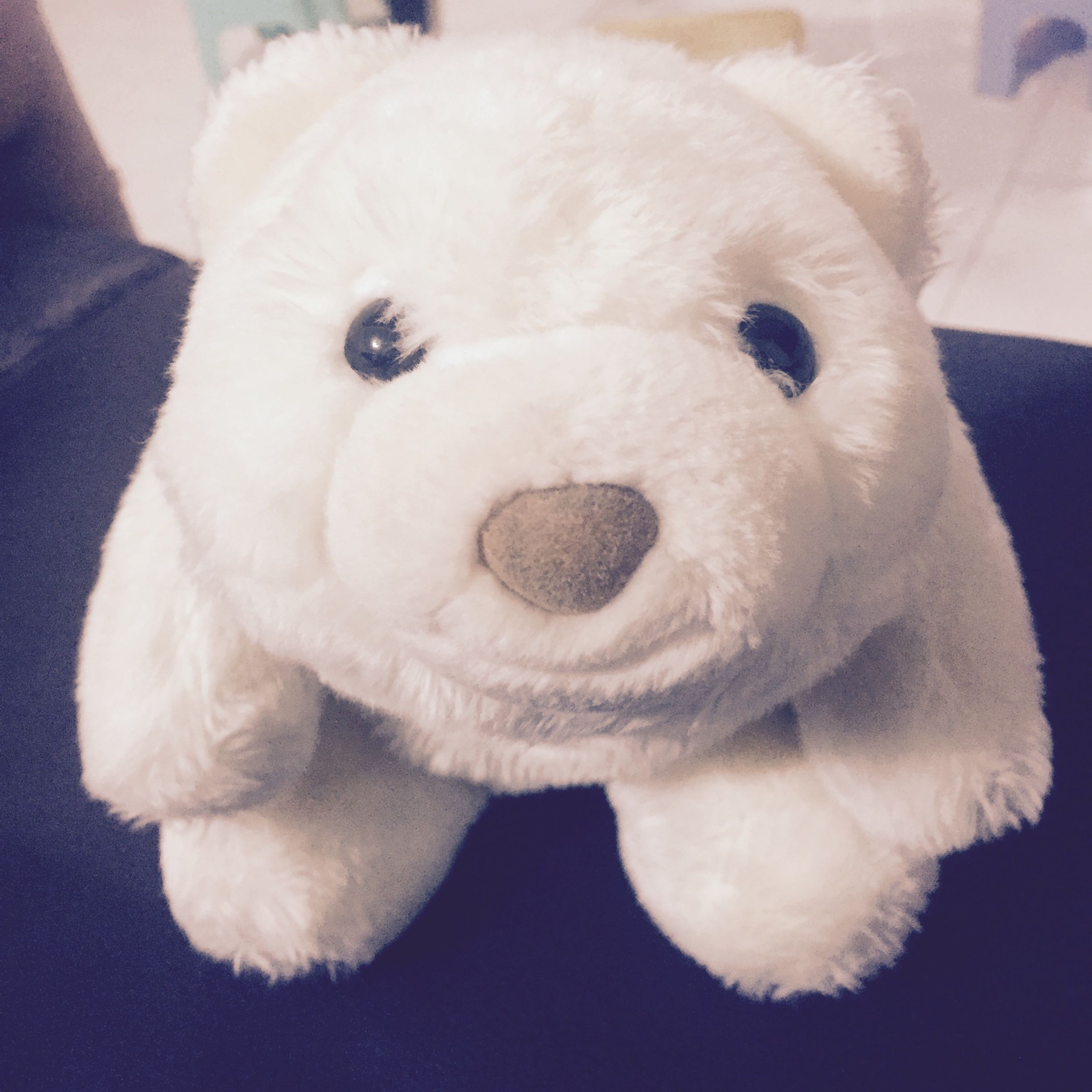 (Category: ) located in . Submitted by m3l05 (Listing ID 1379237517, Image 1). Description: .