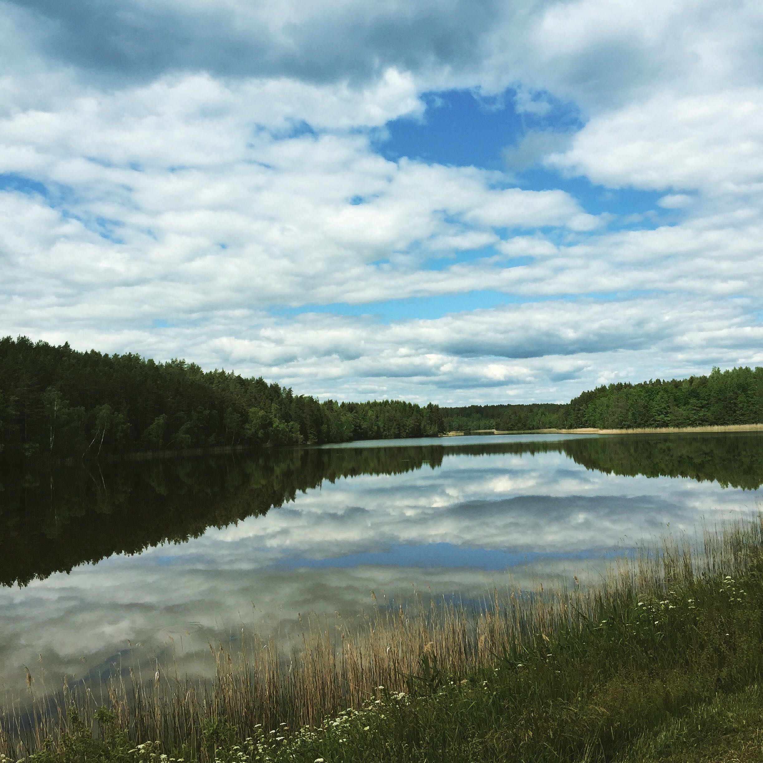 (Category: ) located in . Submitted by pixiedoes (Listing ID 1456891099, Image 1). Description: .