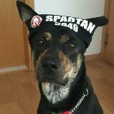 (Category: ) located in . Submitted by chip.chip (Listing ID 1383290865, Image 1). Description: .