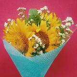 (Kategori: ) berada di . Dikirim oleh prelovedstuffy (ID iklan 1464864903, Gambar 1). Deskripsi: .