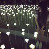 （分類：）位於 。 由 pingyibb 提交（商品編號 1384809501，圖片 1）。簡介： 。