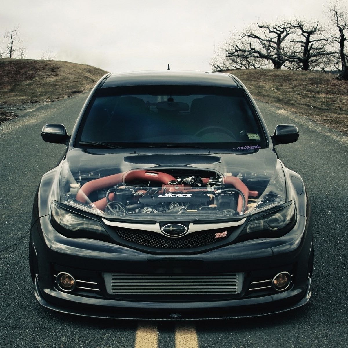 Avatar