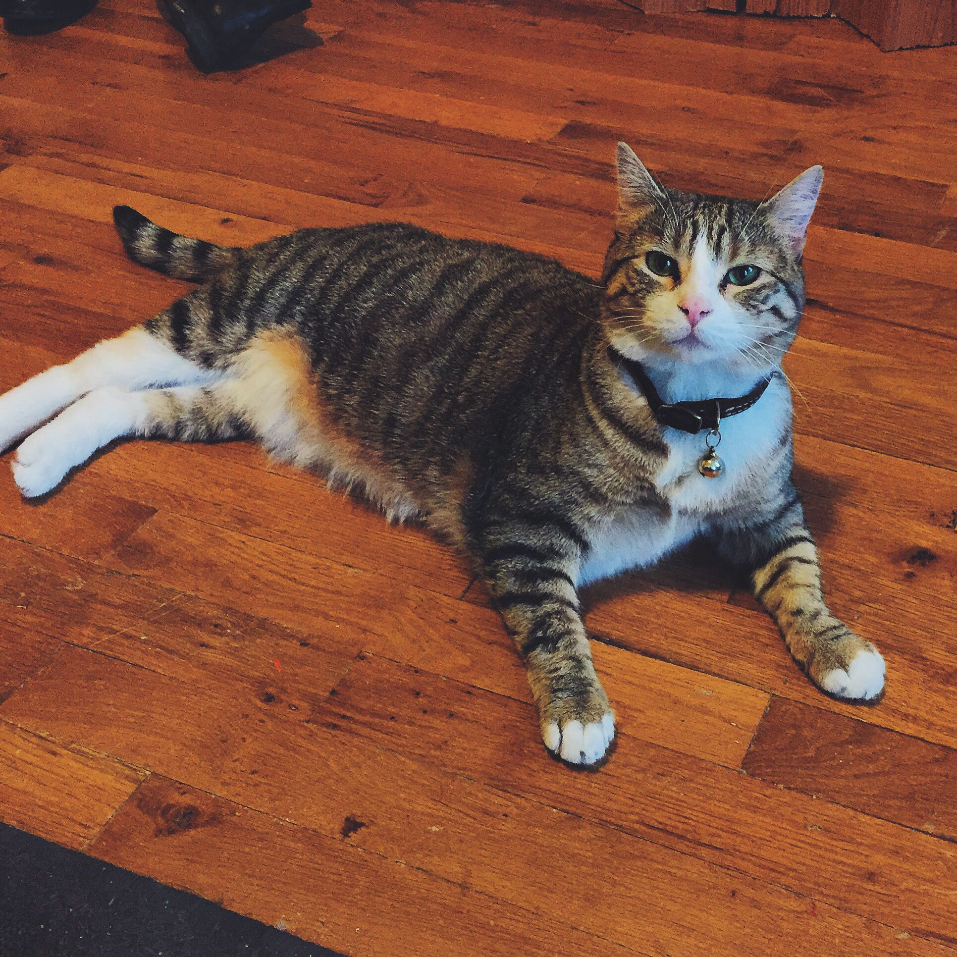 (Category: ) located in . Submitted by sav89 (Listing ID 1364598650, Image 1). Description: .