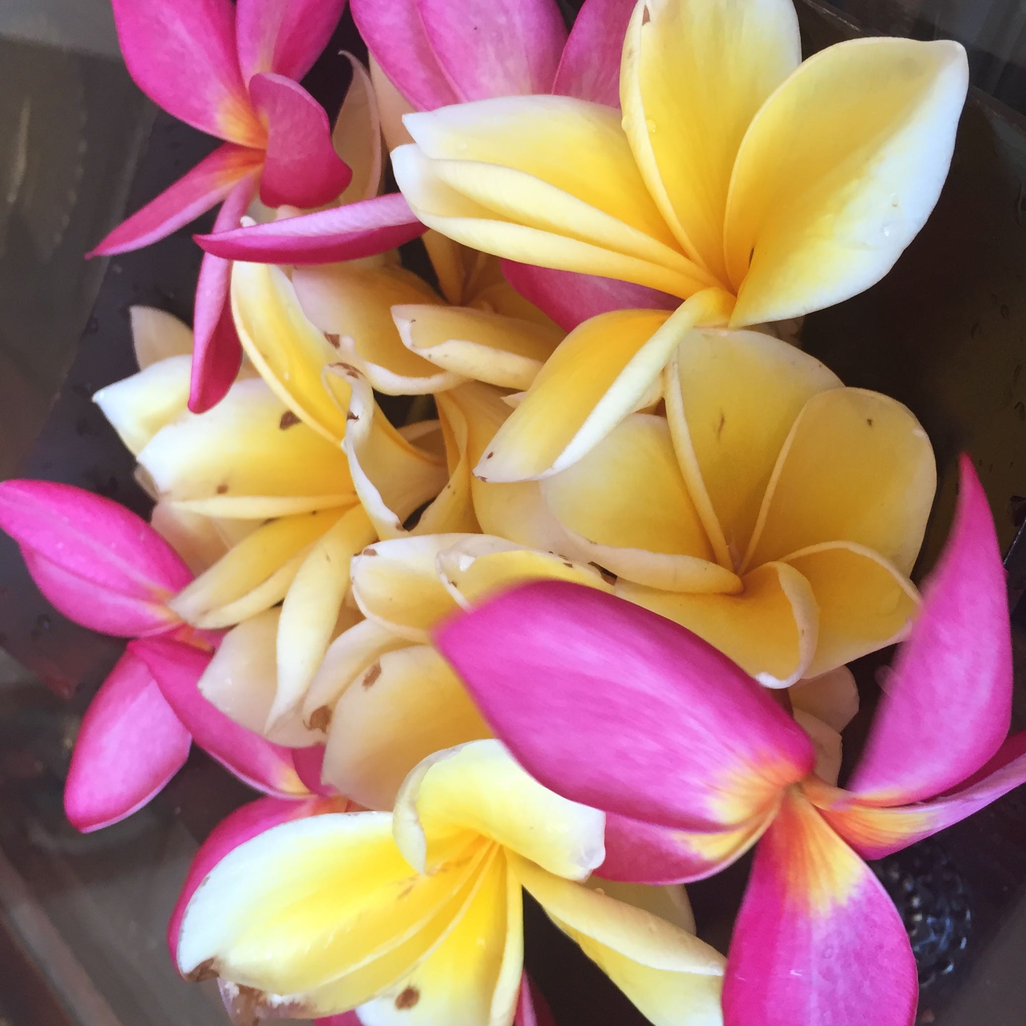 (Category: ) located in . Submitted by sree26 (Listing ID 1281128701, Image 1). Description: .