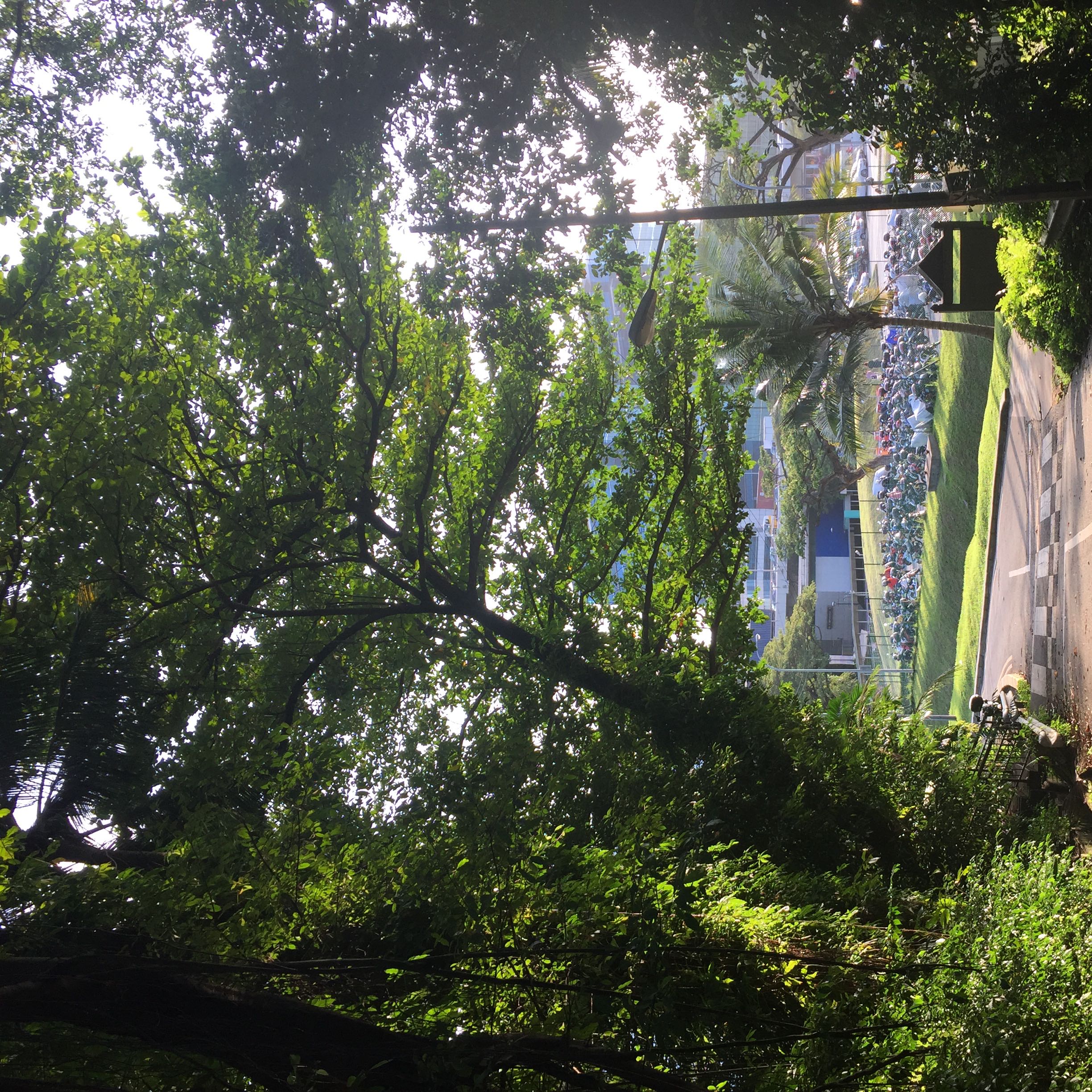 (Category: ) located in . Submitted by eriallo (Listing ID 1218152612, Image 1). Description: .