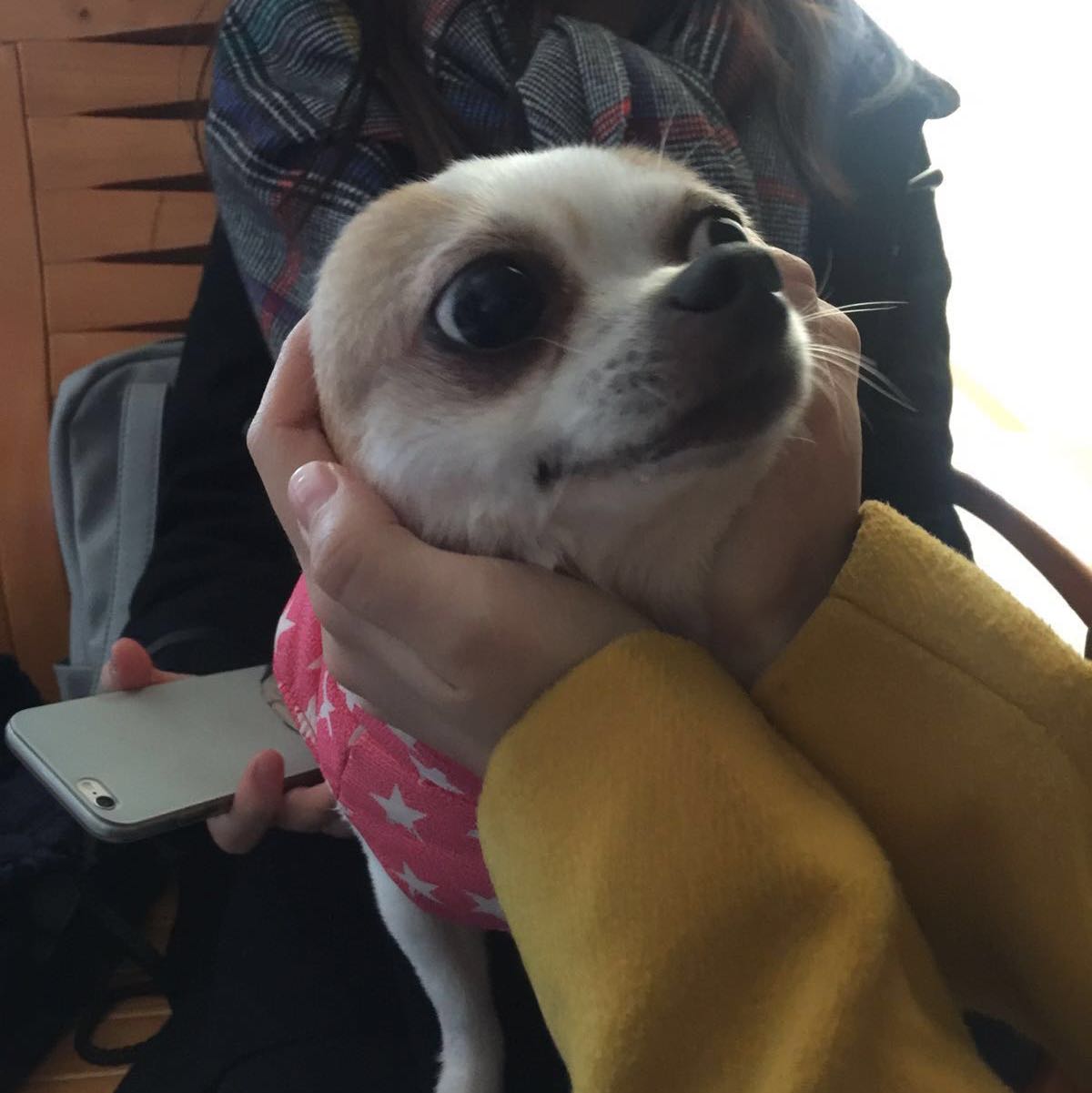 （分類：）位於 。 由 cookiedog 提交（商品編號 1307540533，圖片 1）。簡介： 。