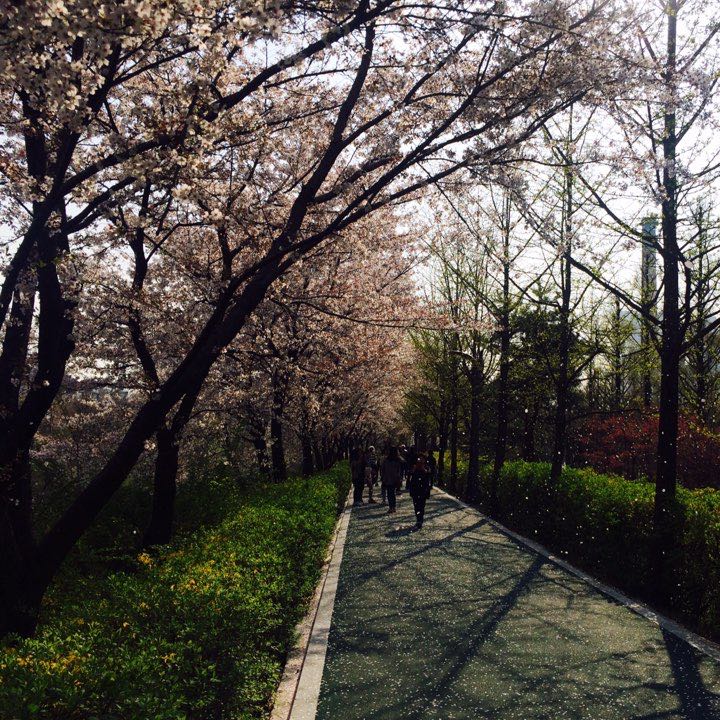 (Category: ) located in . Submitted by jamieby10 (Listing ID 1364582800, Image 1). Description: .