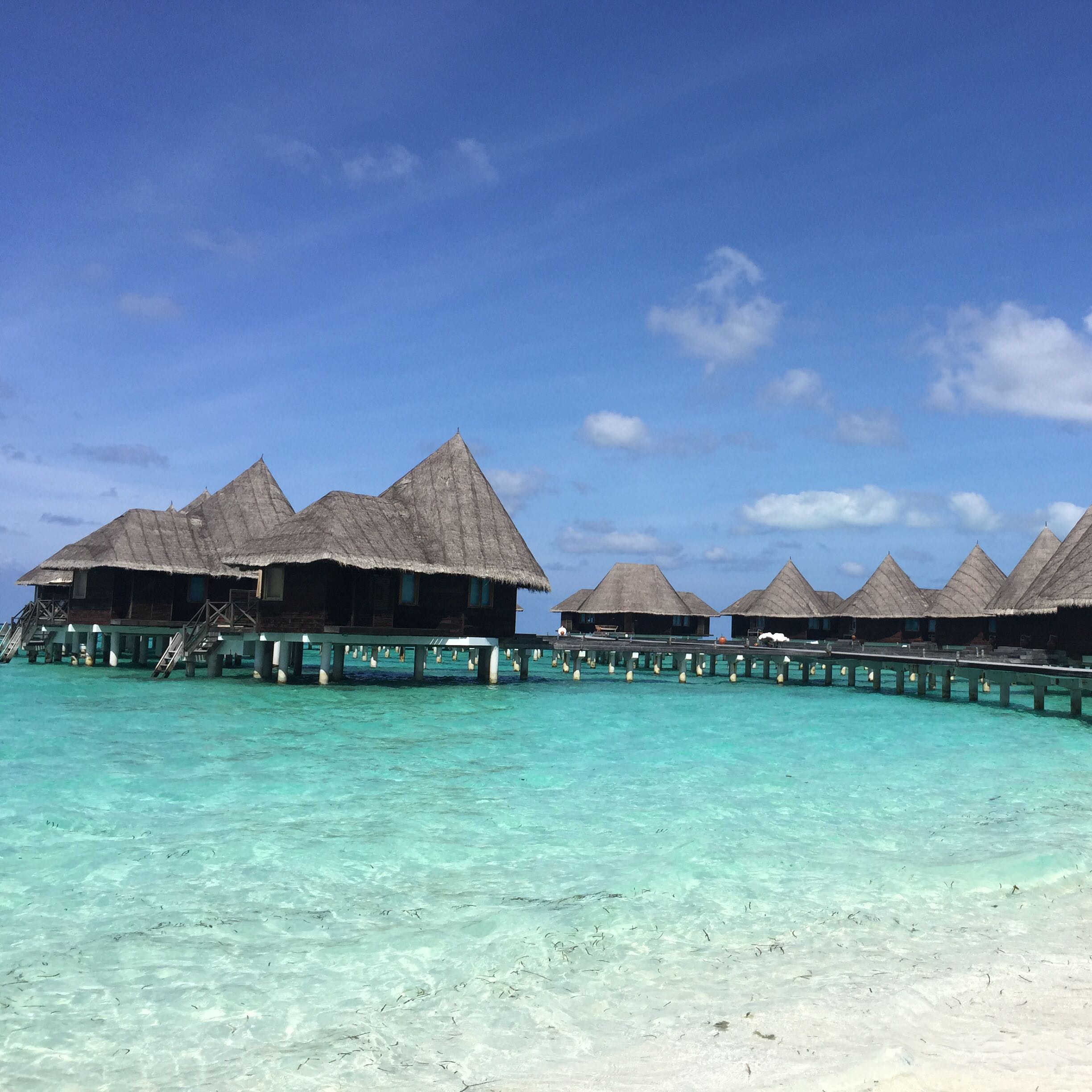 (Category: ) located in . Submitted by stenna07 (Listing ID 1363746494, Image 1). Description: .
